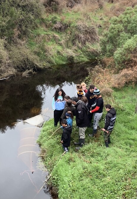 Rangatahi learning about hinaki and what lives in our waterways