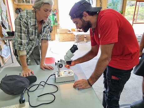 Raniera Smyth looking at an insect under microscope, with direction from Jesse Bythell.