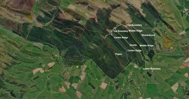 Map of Haumuri (Croydon Bush) trapping lines.
