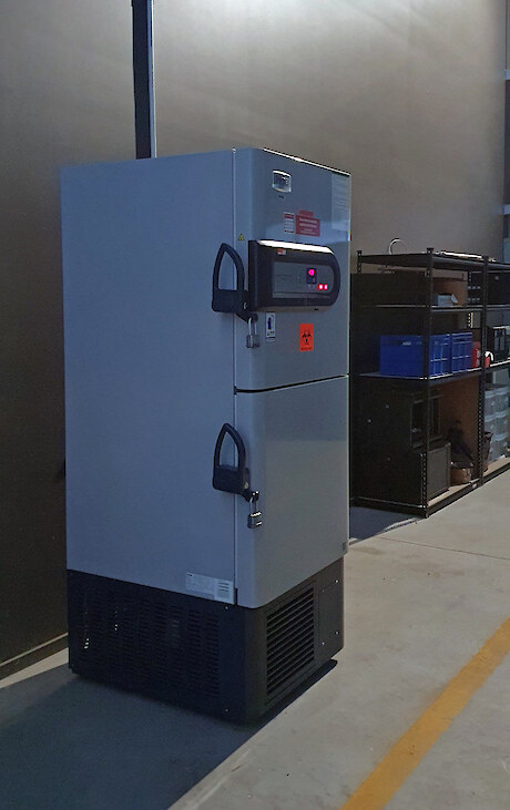Part of the collection is stored in extreme cold temperature freezers (-80°C). Photo: R. Eisert