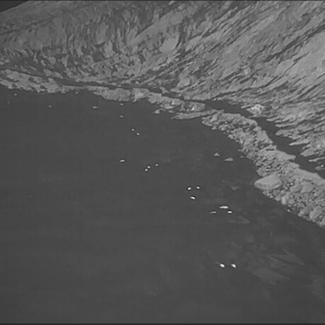 Thermal imagery of Weddell seals on Terra Nova Bay - Photo Credit C. Aitchison, Skyworks UAS