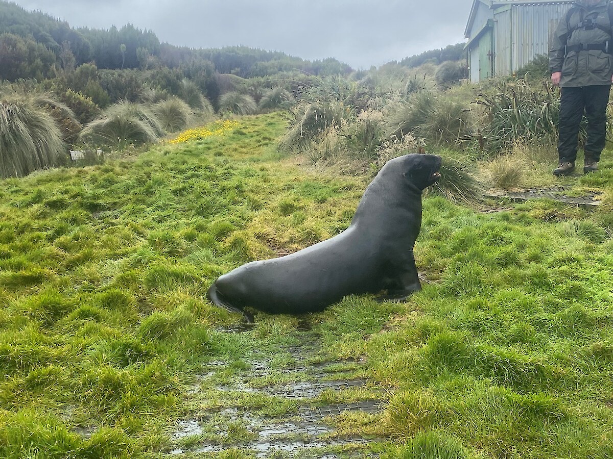 Local resident at Perseverance Wharf – Photo credit Hokonui Rūnanga